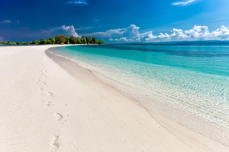 Couple in swimwear on the beach
